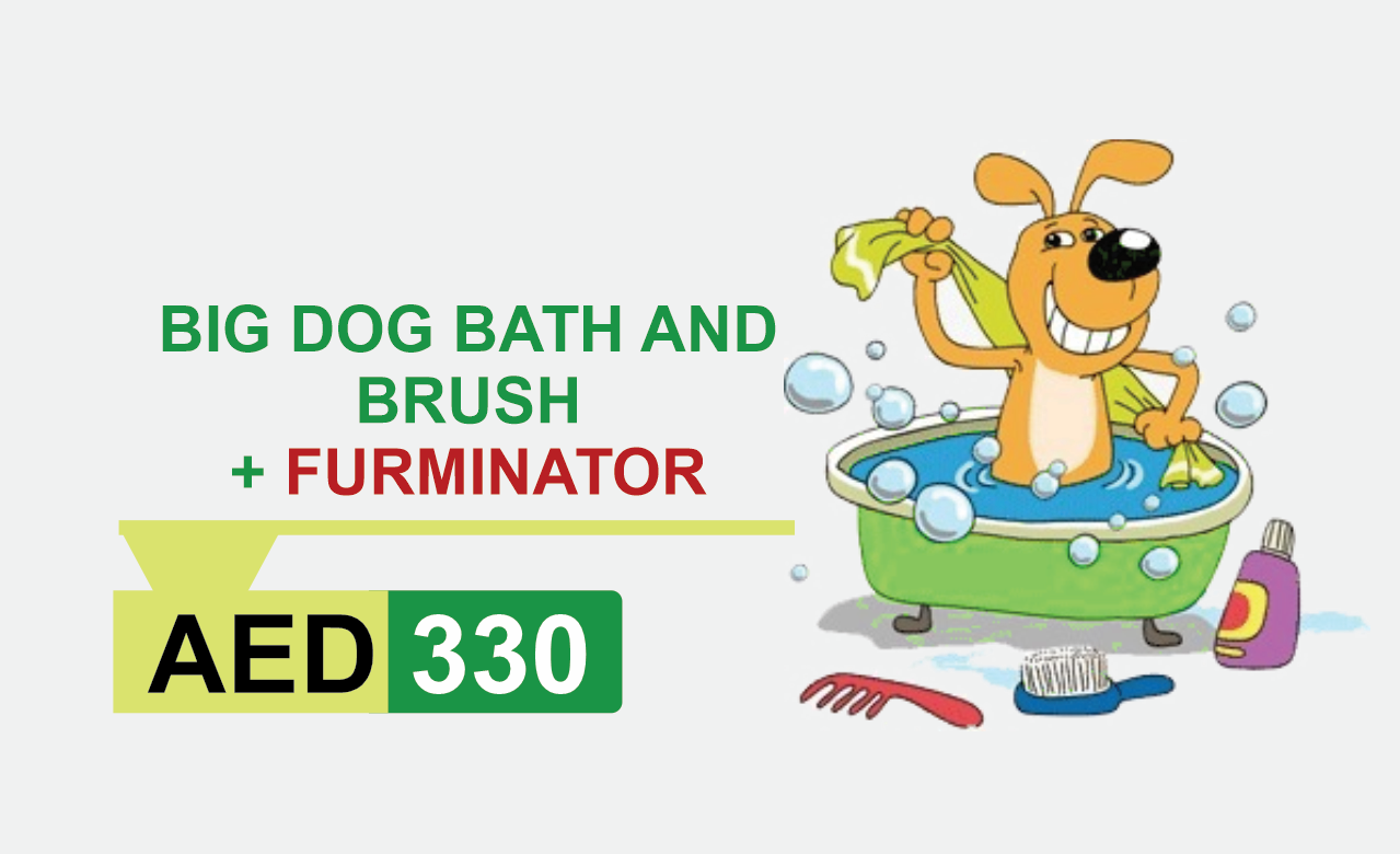 big dog bath and brush + furminator