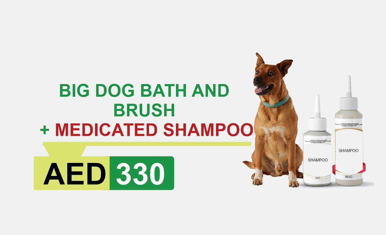 big dog bath and brush + medicated shampoo