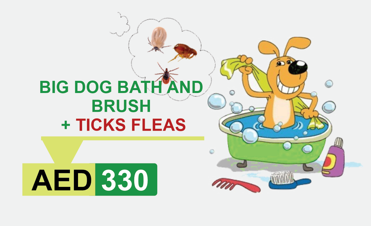 big dog bath and brush + ticks fleas
