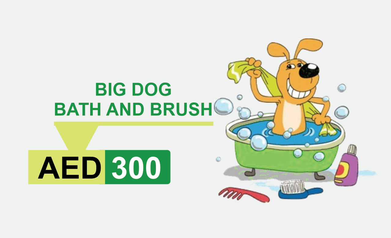 big dog bath and brush