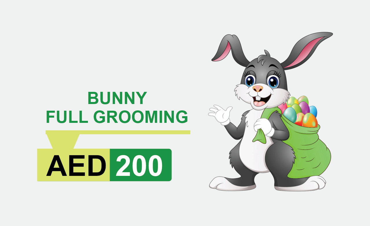 bunny full grooming