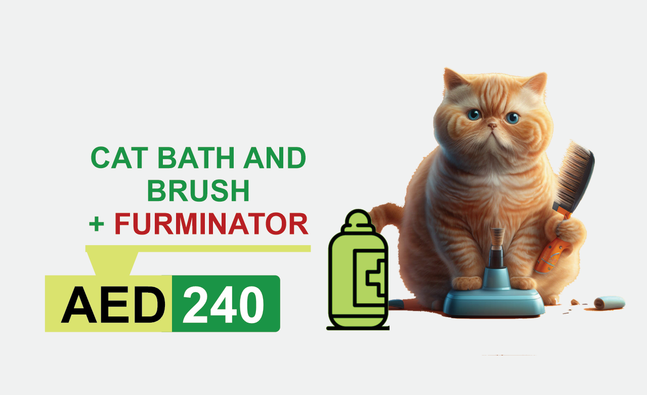 cat bath and brush +furminator