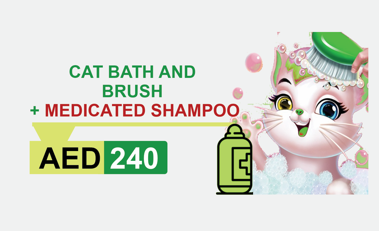 cat bath and brush + medicated shampoo