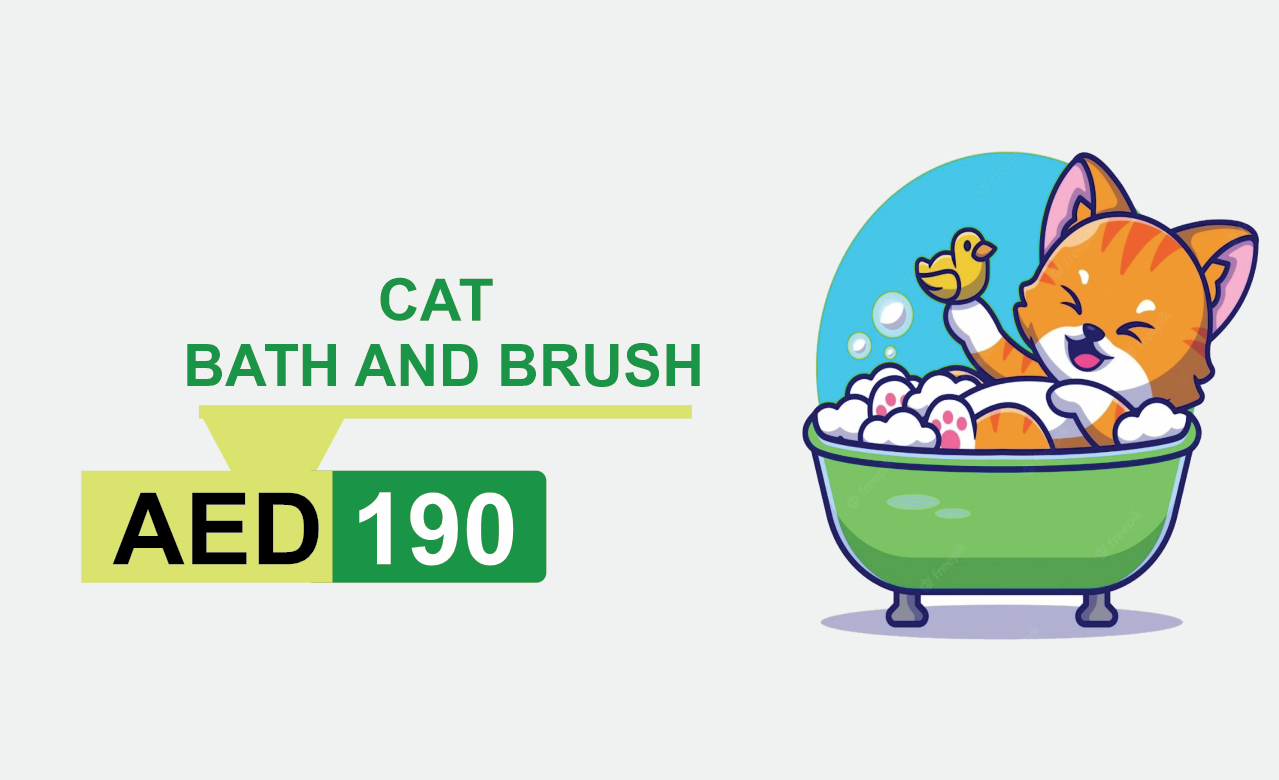 cat bath and brush