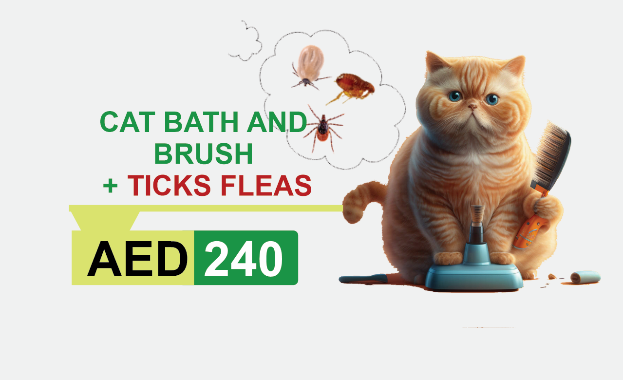 cat bath and brush + ticks fleas