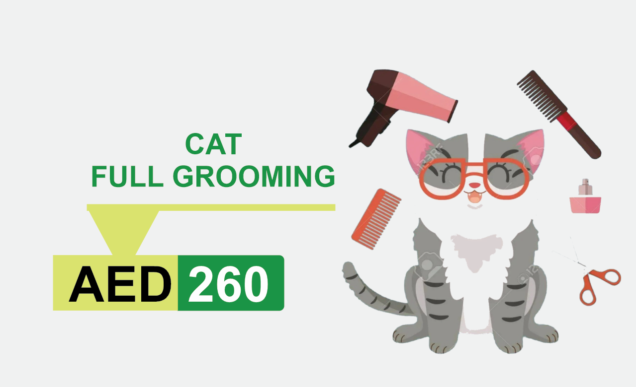 cat full grooming