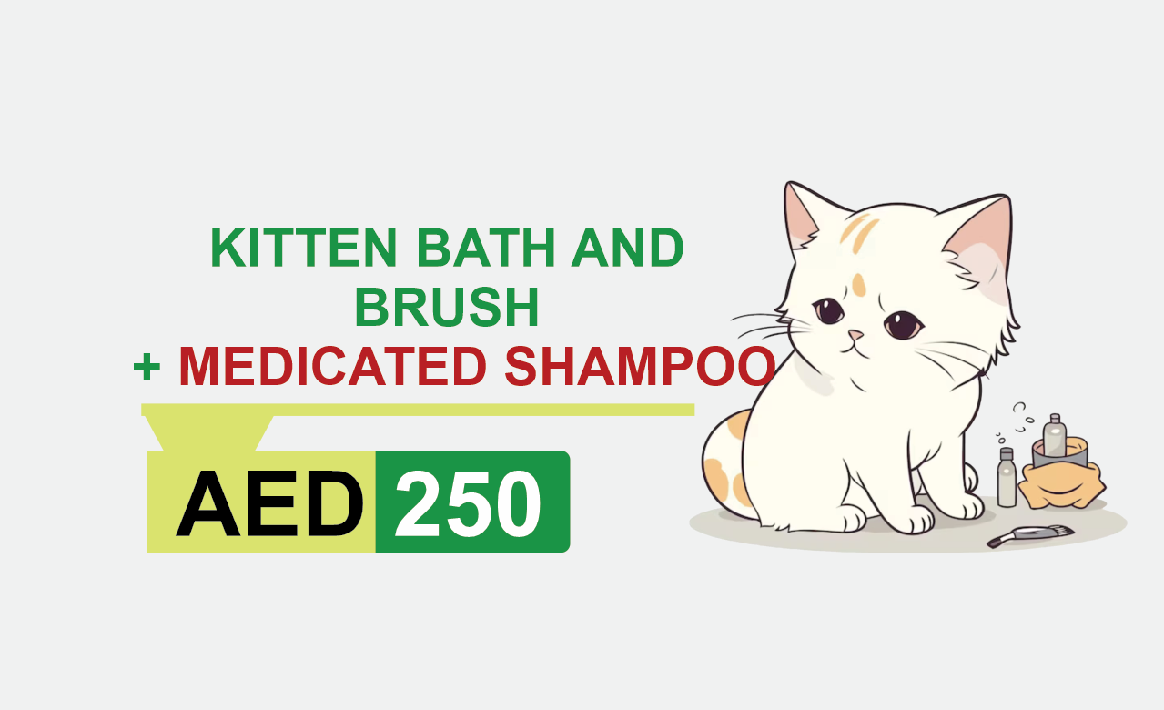 kitten bath and brush + medicated shampoo
