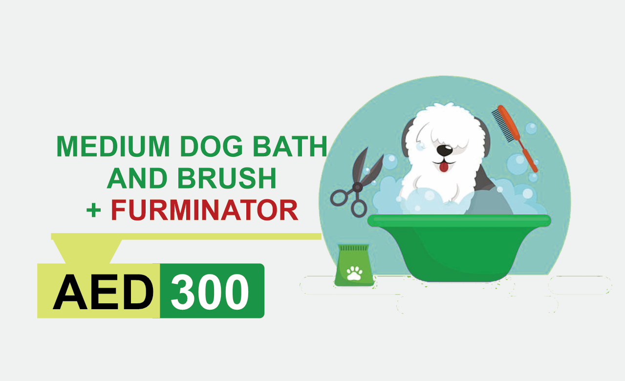 medium dog bath and brush + furminator
