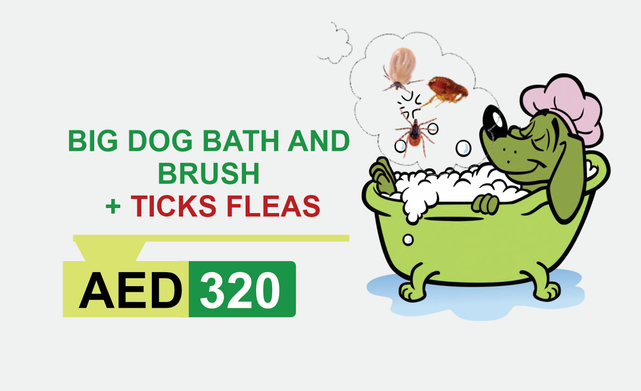 medium dog bath and brush + ticks fleas