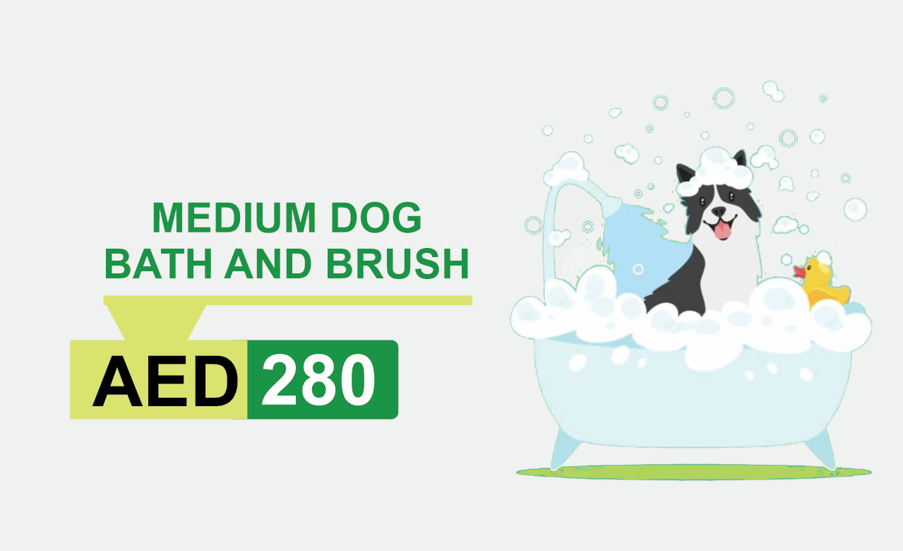 medium dog bath and brush