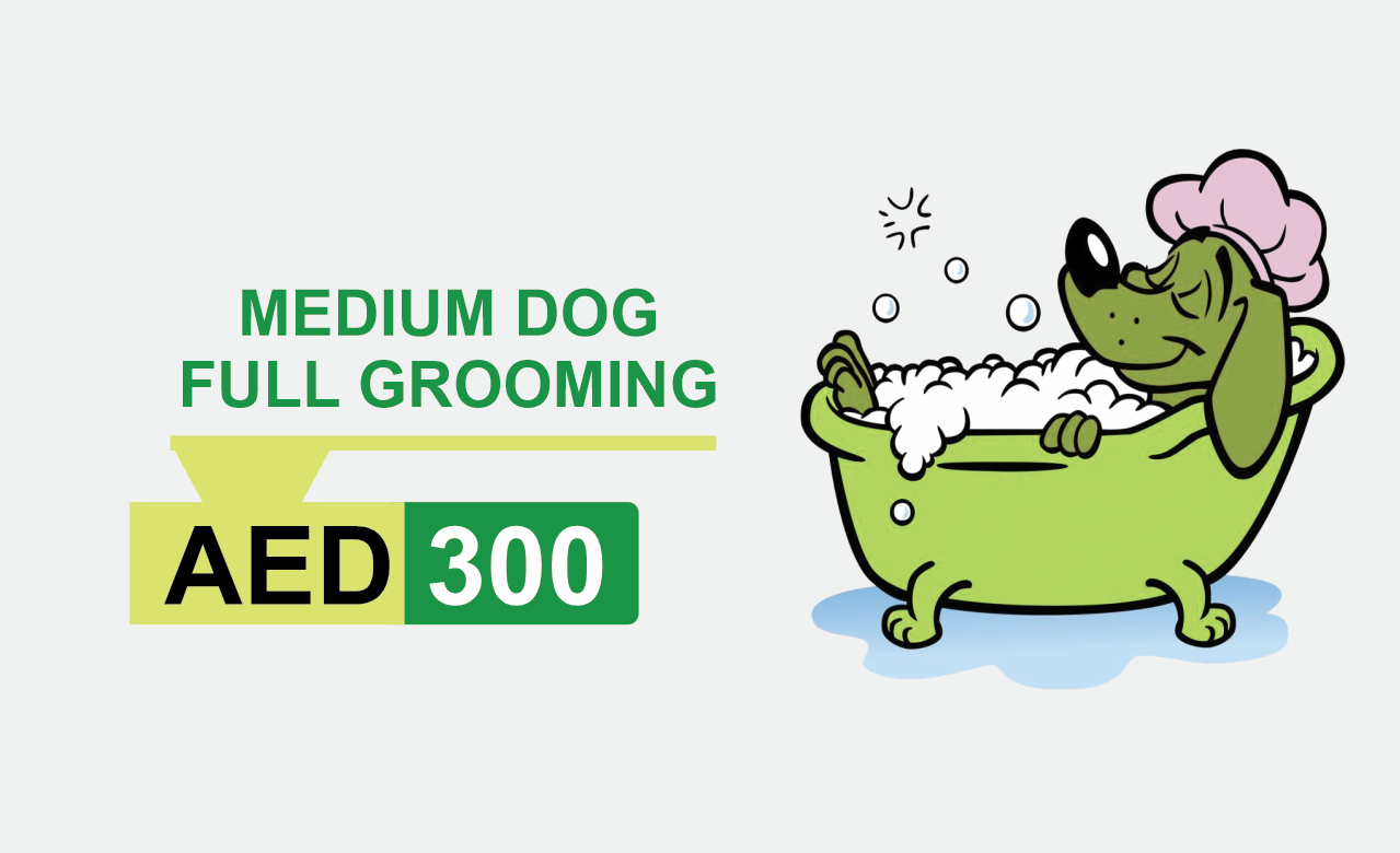 medium dog full grooming