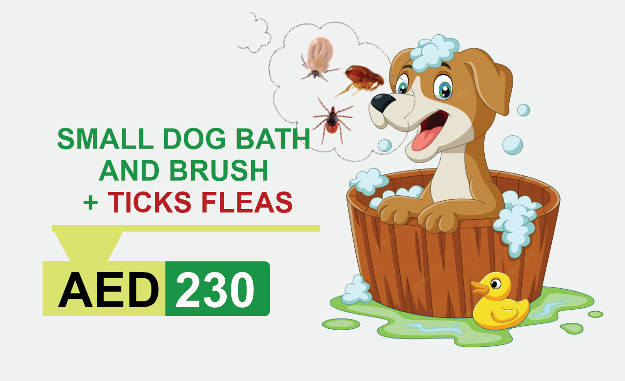 small dog bath and brush + ticks fleas