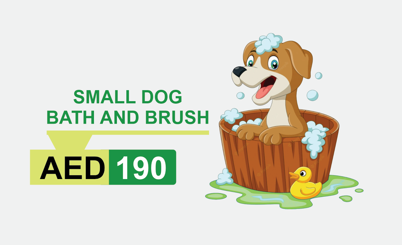 small dog bath and brush